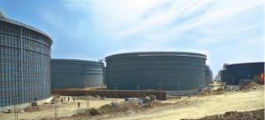 大连中石油国际储备油库北区12×10×10⁴m³储罐防腐保温工程